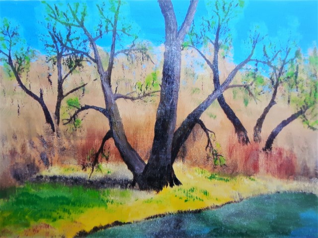 Eldorado Park, Credit River, Brampton - $200 - 11 x 14 - Oil on canvas