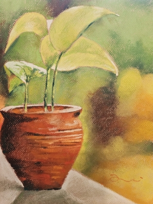 Soft Realism in Soft Pastel