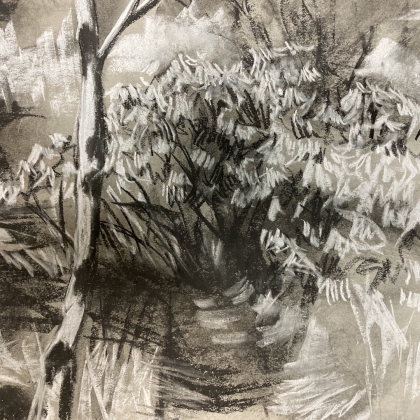 Expressive Drawing