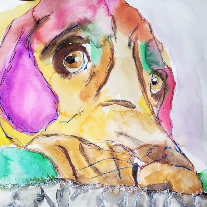 Playful Pet Portraits