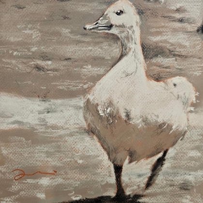 Greyscale in Soft Pastel